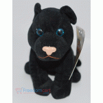 Black cat Teddy