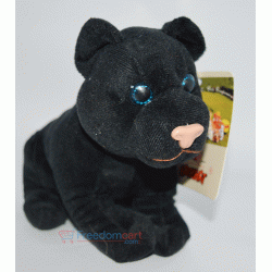 Black cat Teddy